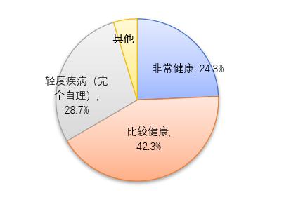 养老现状及需求调研分析(图3)